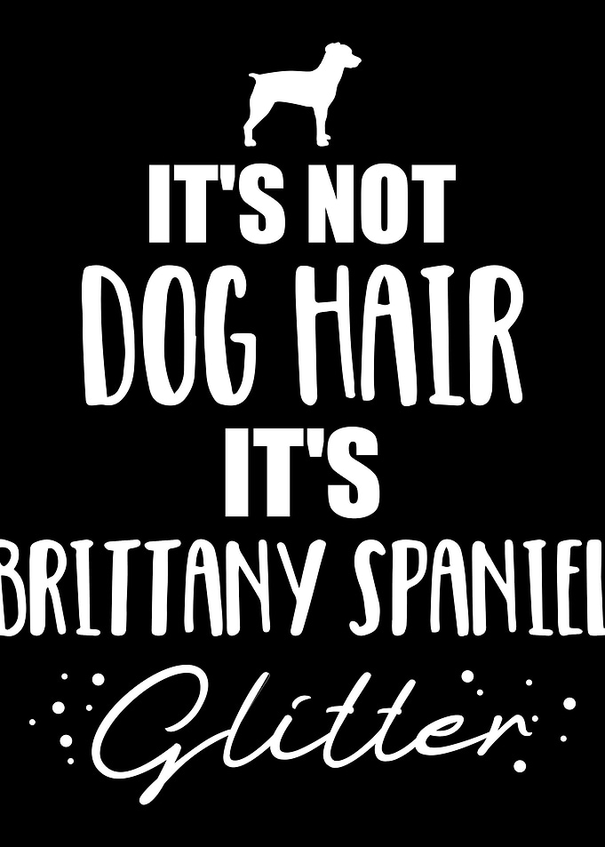 Brittany Spaniel