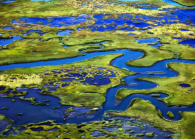 Marshlands