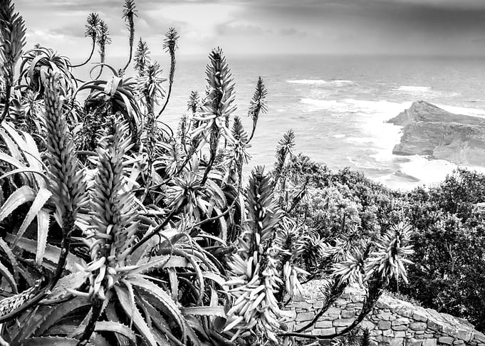 Cape Point National park