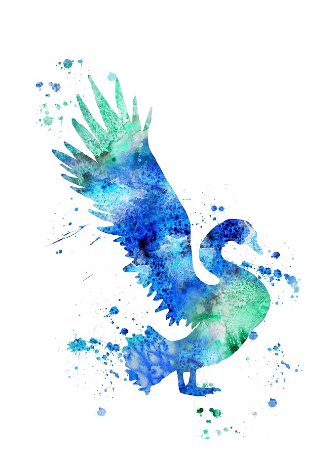 Swan