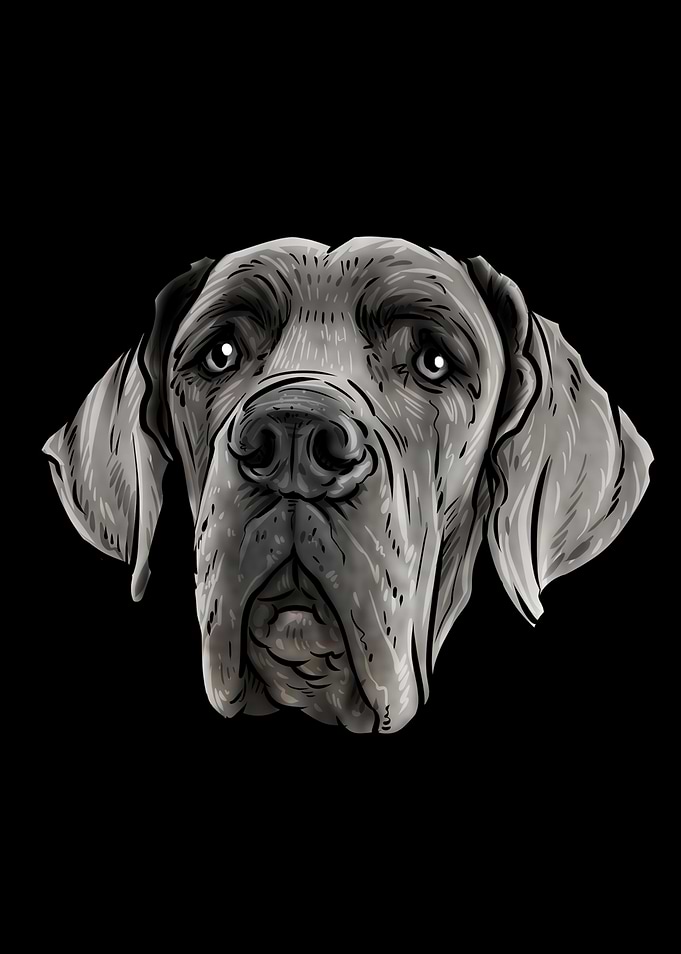 Great Dane Dog
