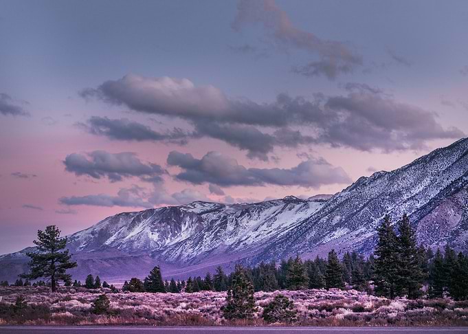 Mammoth Creek