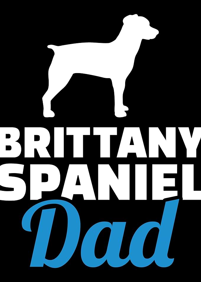 Brittany Spaniel