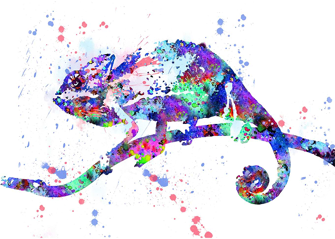 Chameleon