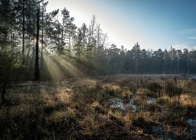 Nature