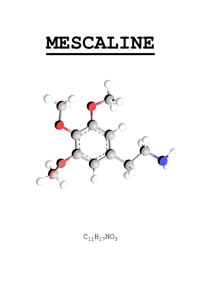 Mescaline