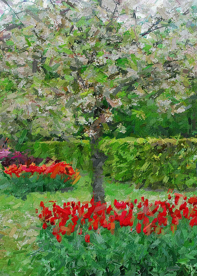 Spring blossom