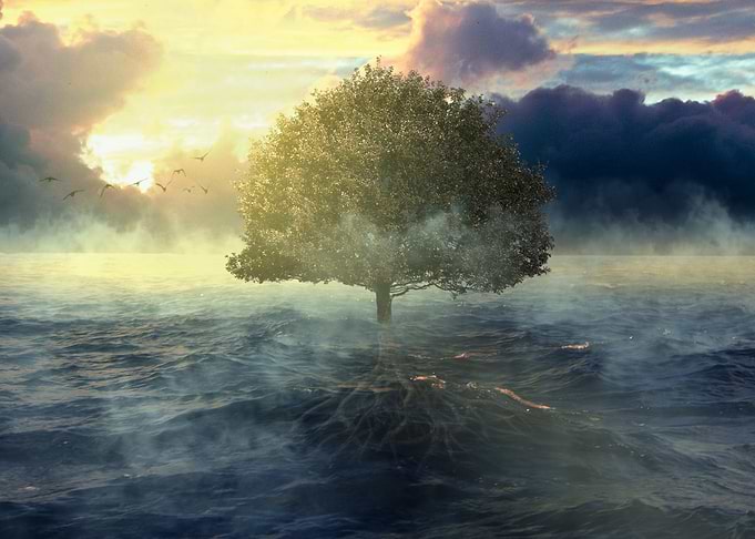 Mother Nature