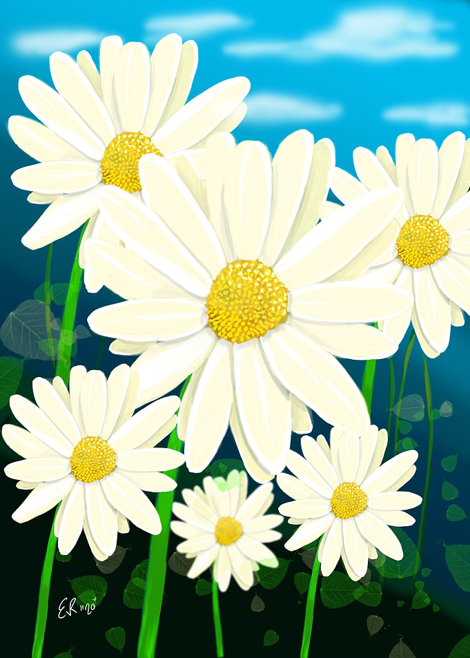 Daisies