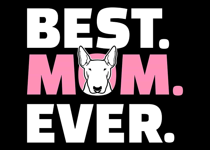 Bull terrier