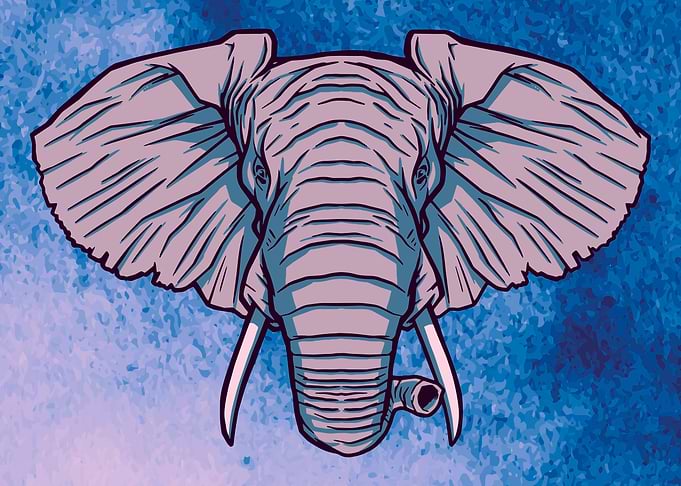 elephant design