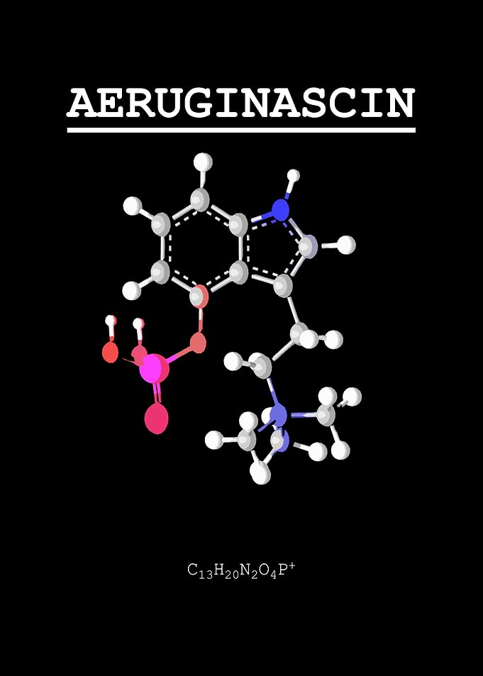Aeruginascin