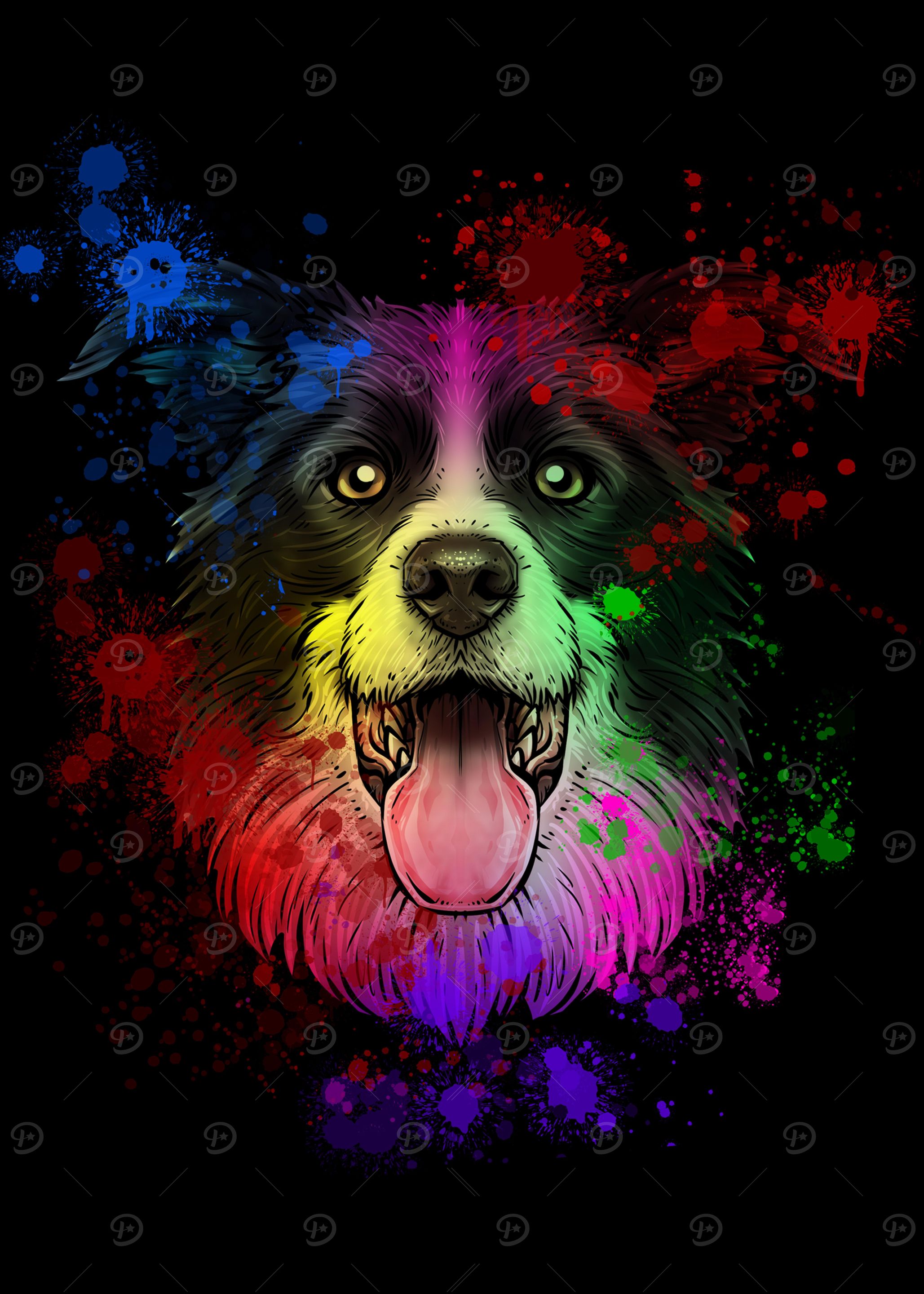 Border Collie Dog