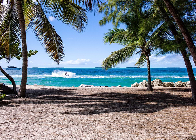 Palm Trees On The Beach