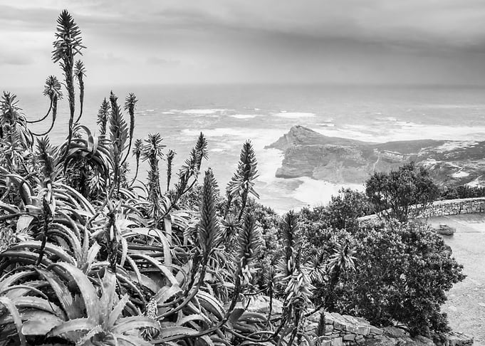Cape Point National park