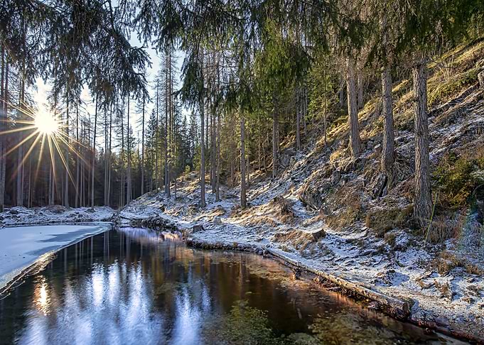 Nature