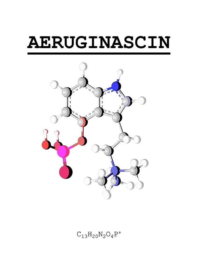 Aeruginascin