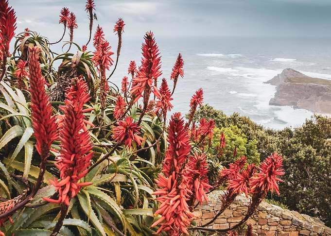 Cape Point National park