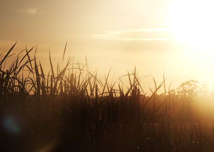 Atardecer