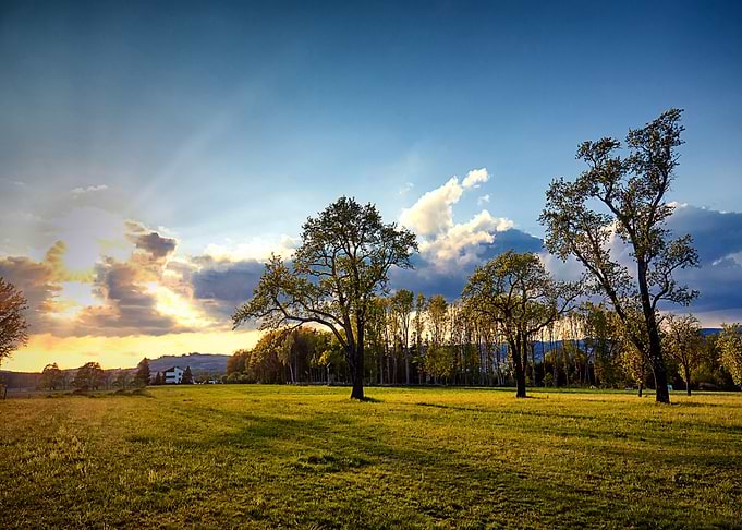 Nature