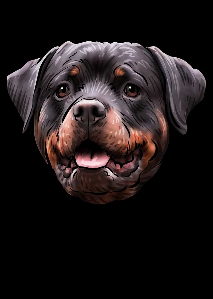 Rottweiler Dog