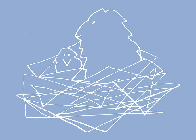 Birds at home