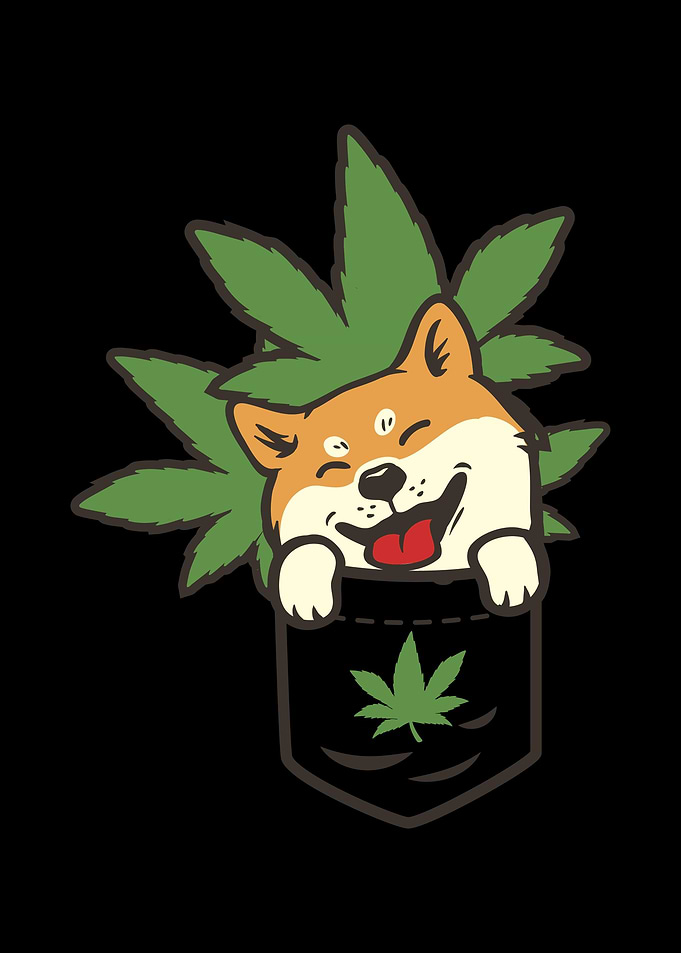 Shiba Inu CBD
