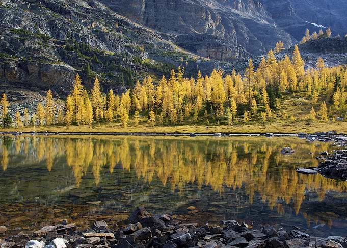 Lake Mountains Autumn