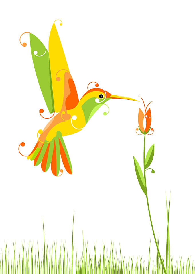 Humming bird