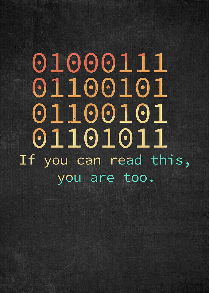 Programmer Binary Code