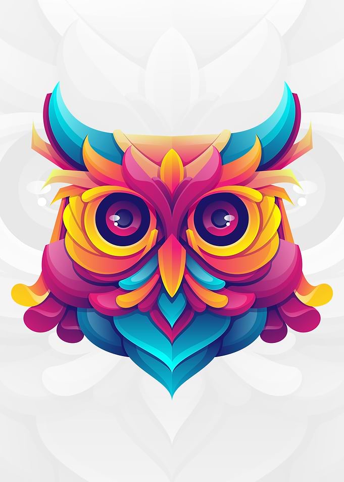 Colorful Owl