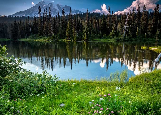 Lake Mountains Forests