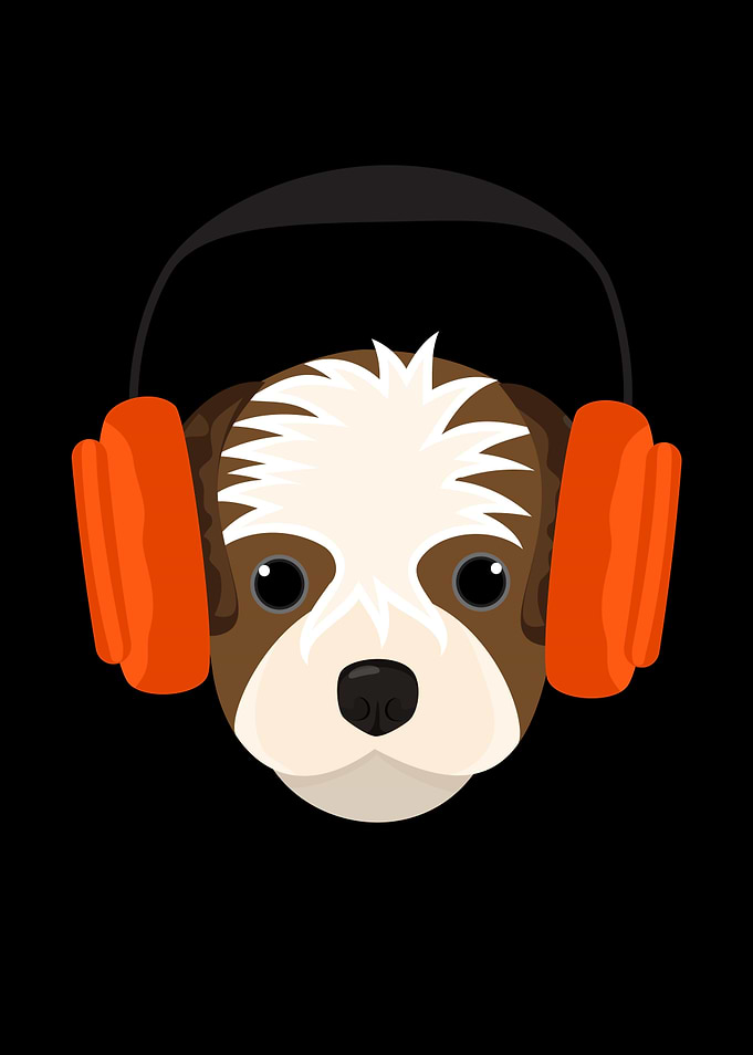 Dog With Headphones Puppy