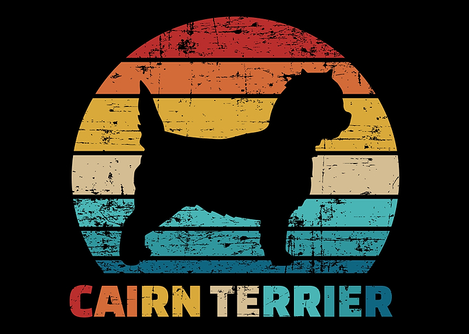 Cairn Terrier