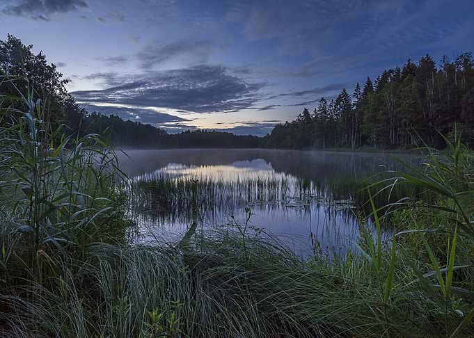 Nature