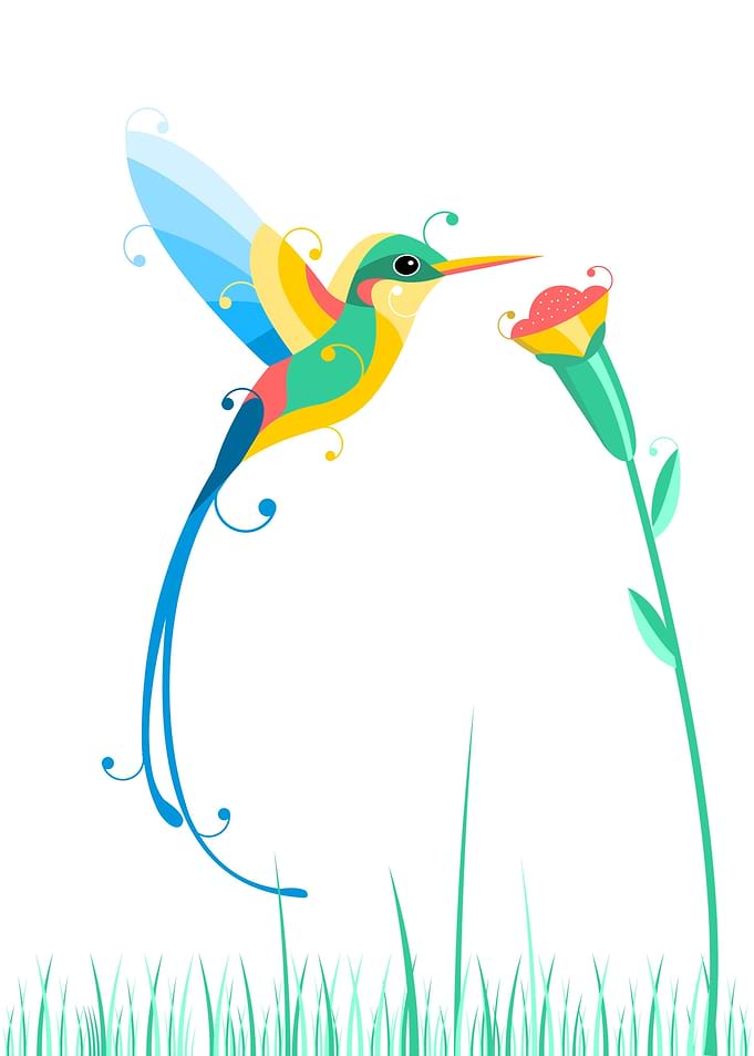 Humming bird