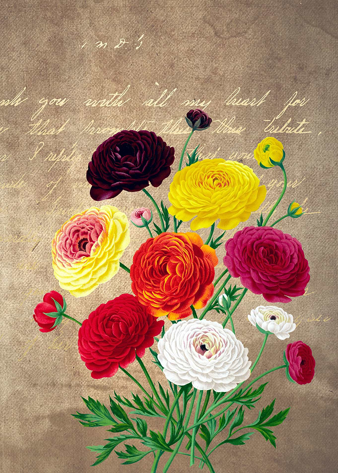Flowers Bouquet