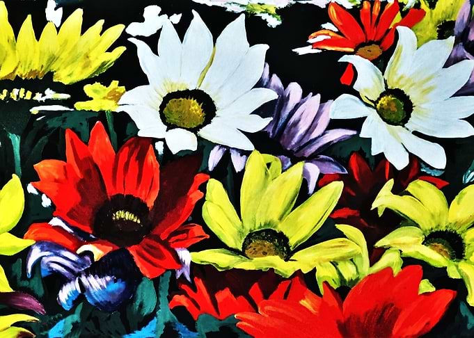 Colorful daisies