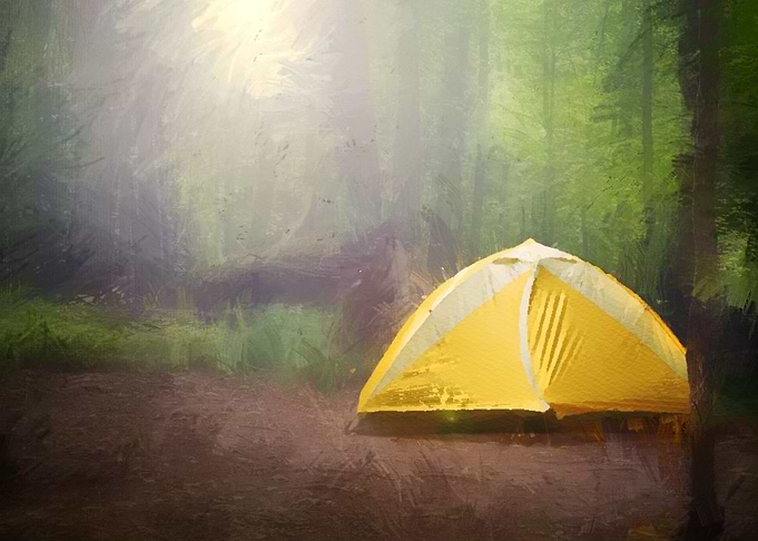 Tent Surrounded by Trees