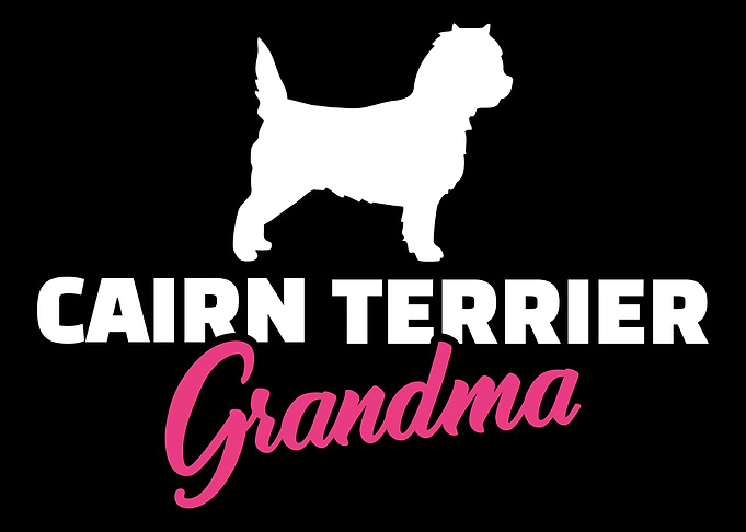 Cairn Terrier