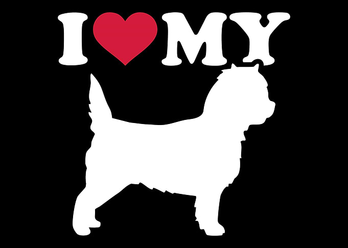 Cairn Terrier