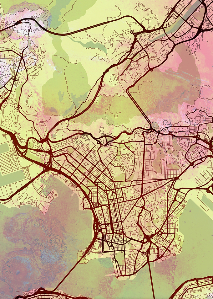 Hong Kong Street Map