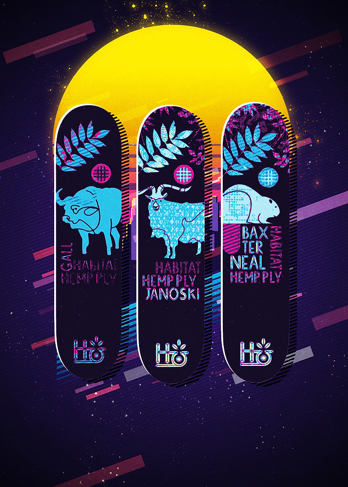 SkateBoard