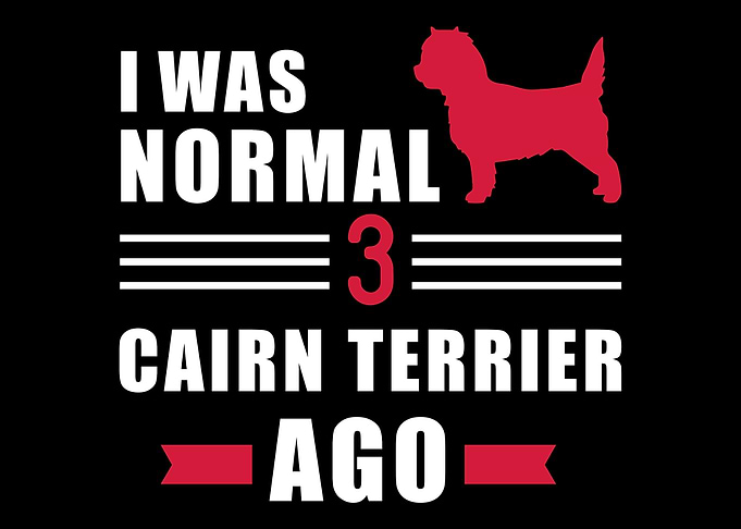 Cairn Terrier