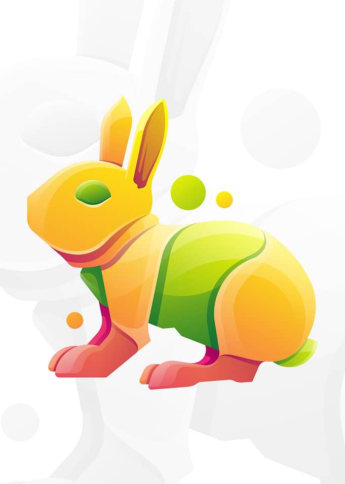 Colorful Rabbit