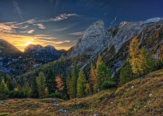 Nature