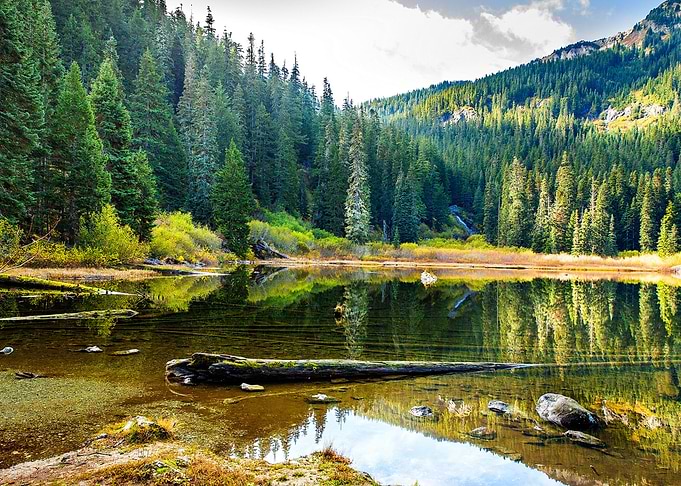 Lake Mountains Forests