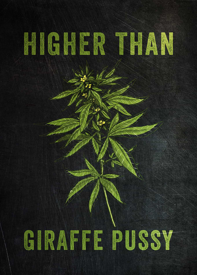 Higher Than Giraffe Pussy