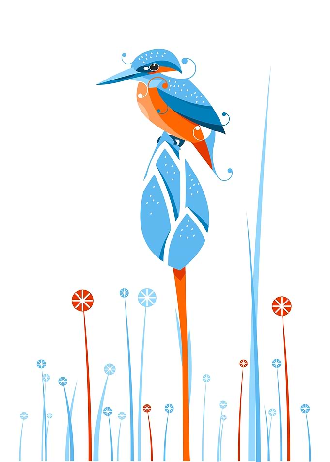 kingfisher bird