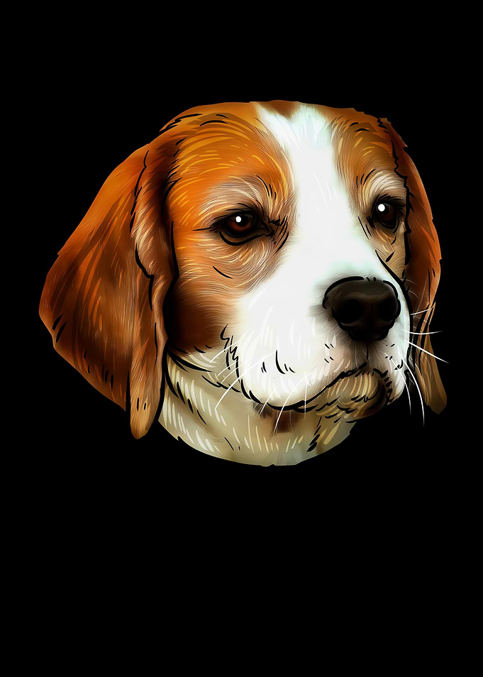 Beagle Dog Portrait